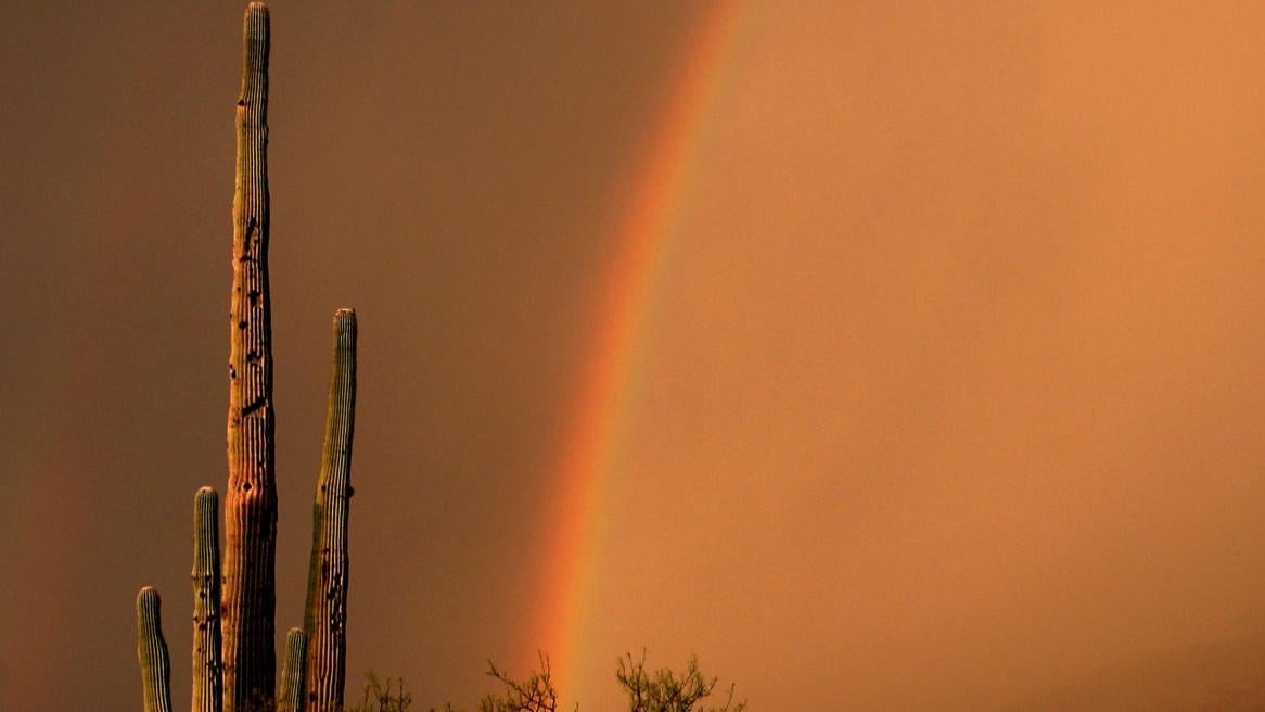 La primera tormenta de verano de la temporada dejó daños en ճܳó